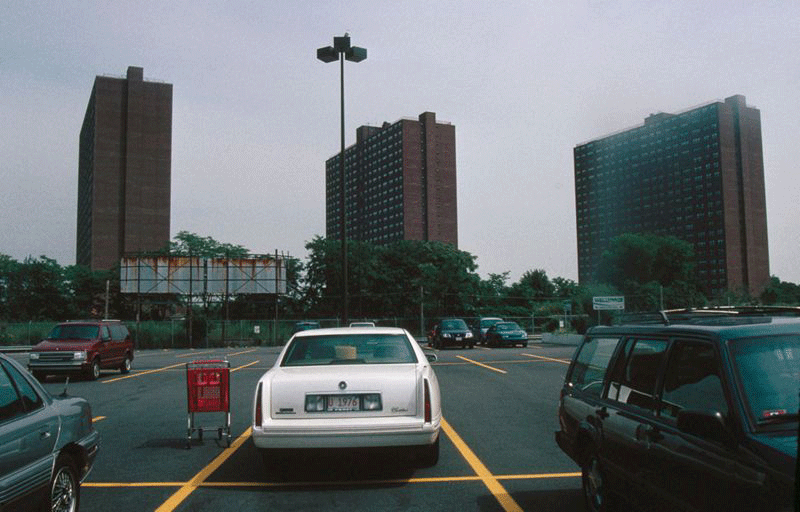 Rindge Towers Conservation